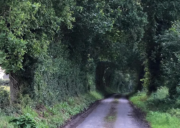 Reve De Pomme * Monceaux-en-Bessin